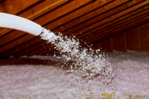 Types of Insulation We Offer in Juno Beach, FL
