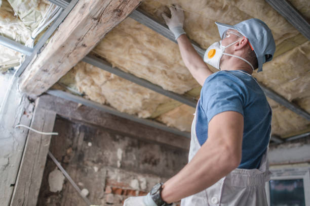 Best Cellulose Insulation in Juno Beach, FL