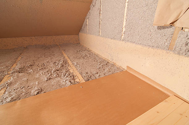 Best Eco-Friendly Insulation in Juno Beach, FL